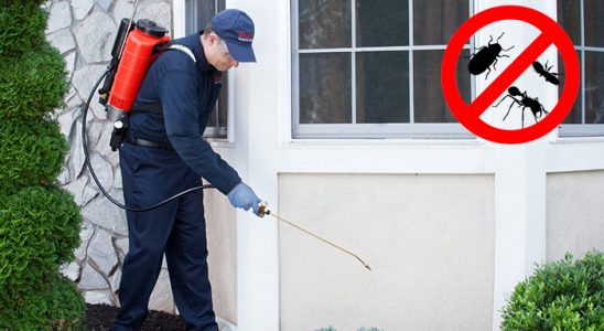 Patnos Dezenfeksiyon böcek ilaçlama ve haşere kontrolü — ilaclama-tr.com